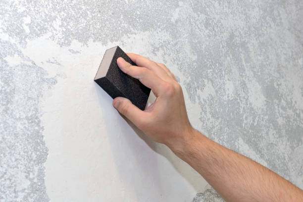 Best Crawl Space Mold Remediation  in Falling Water, TN