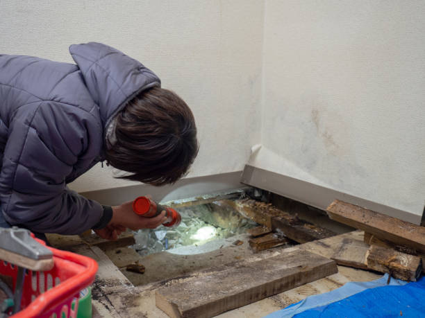 Asbestos and Lead Testing During Mold Inspection in Falling Water, TN