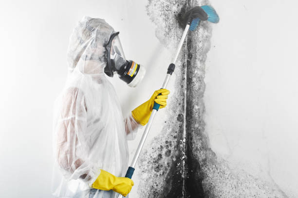 Best Indoor Air Quality Assessment  in Falling Water, TN