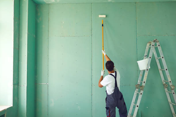 Trusted Falling Water, TN Mold Removal Experts