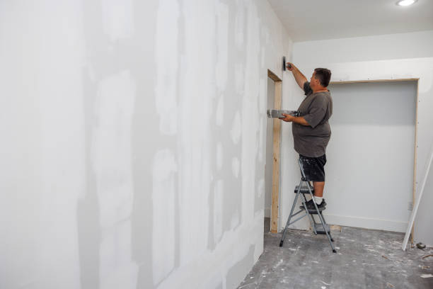 Best Emergency Mold Remediation  in Falling Water, TN