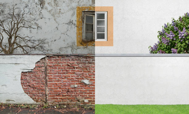 Best Air Quality Testing for Mold Spores  in Falling Water, TN