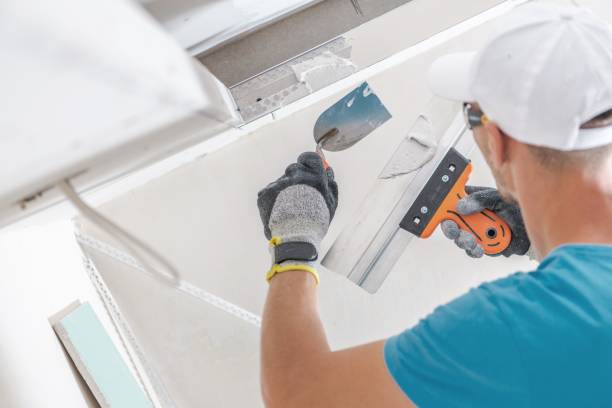 Best Airborne Mold Testing  in Falling Water, TN